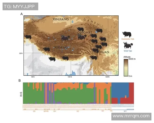 成都乒乓球队速度分析与提升策略的深度探讨与研究