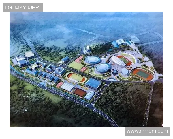 杭州排球队的整体压制革新探索与实践之路全景分析